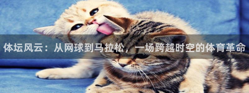米兰体育官网下载招商电话号码查询是多少