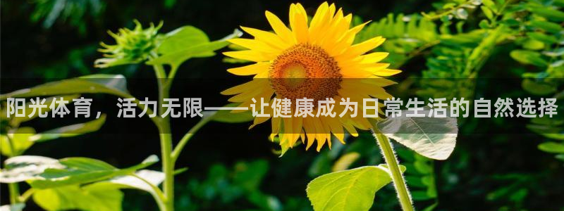米兰体育官网下载招商电话地址查询