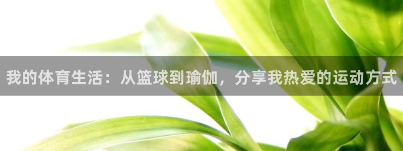 米兰体育官网下载平台是正规平台吗：我的体育生活：从篮球到瑜伽