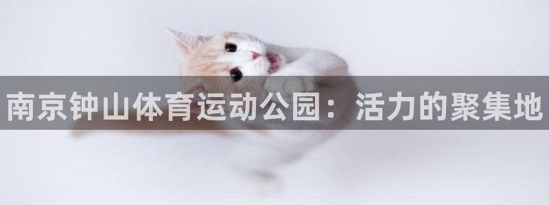 米兰体育官网下载平台注册要钱吗安全吗：南京钟山体育运