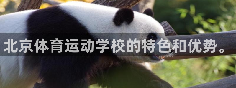 米兰体育官方正版app五金厂