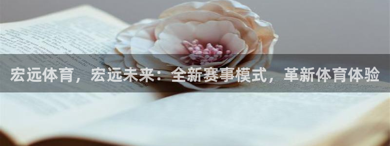 米兰体育官网下载平台是正规平台吗知乎：宏远体育，宏远