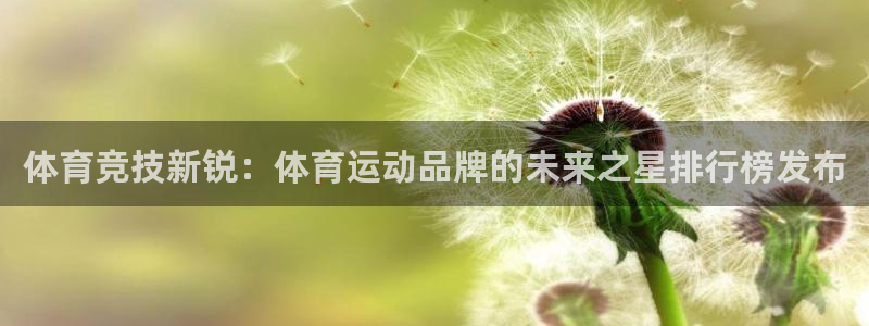 米兰体育官网下载招商电话号码查询：体育竞技新锐：体育