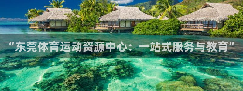 米兰体育官方正版app神州：“东莞体育运动资源中心：一站式服