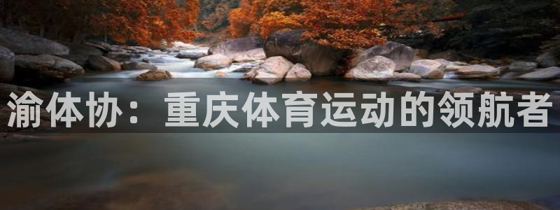 米兰体育官方平台体育：渝体协：重庆体育运动的领航者