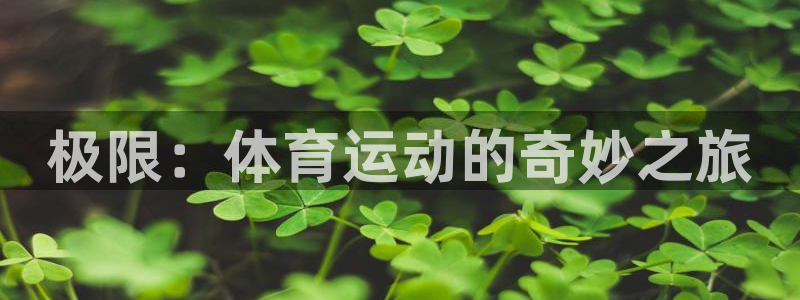 米兰体育官方正版app集团E.ON
