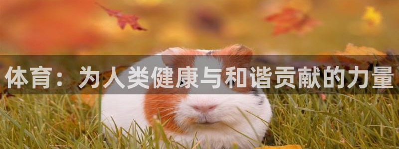 米兰体育官方正版app娱乐首页网站大全：体育：为人类
