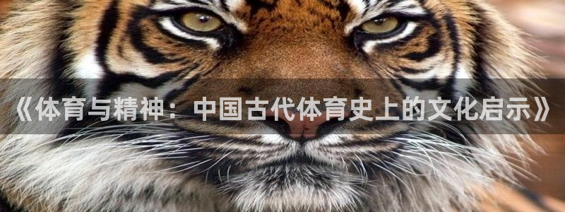 米兰体育官网下载平台APP