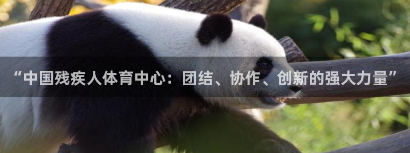 米兰体育官网下载平台是正规平台吗知乎：“中国残疾人体育中心：