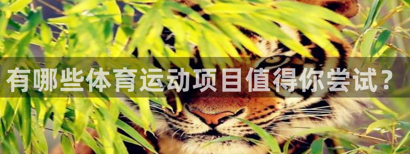 米兰体育官方正版app集团官网首页：有哪些体育运动项