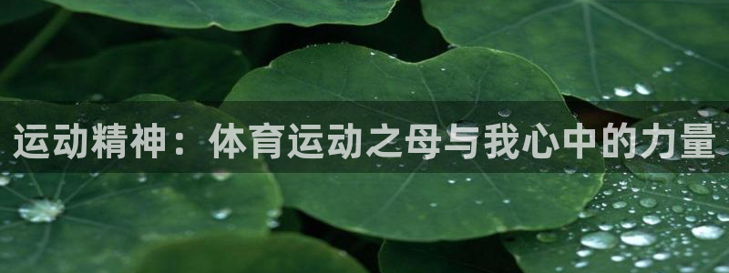 米兰体育官网下载平台假的吗是真的吗吗：运动精神：体育运动之母