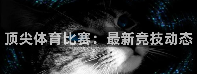 米兰体育官方正版app集团E.ON：顶尖体育比赛：最