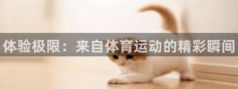 米兰体育官网下载平台是正规平台吗安全吗：体验极限：来