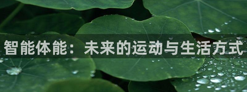 海南米兰体育官网下载：智能体能：未来的运动与生活方式