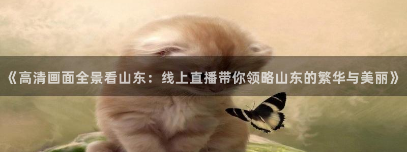 劲爆体育nba直播在线观看：《高清画面全景看山东：线上直播带你领略山东的繁华与美丽》